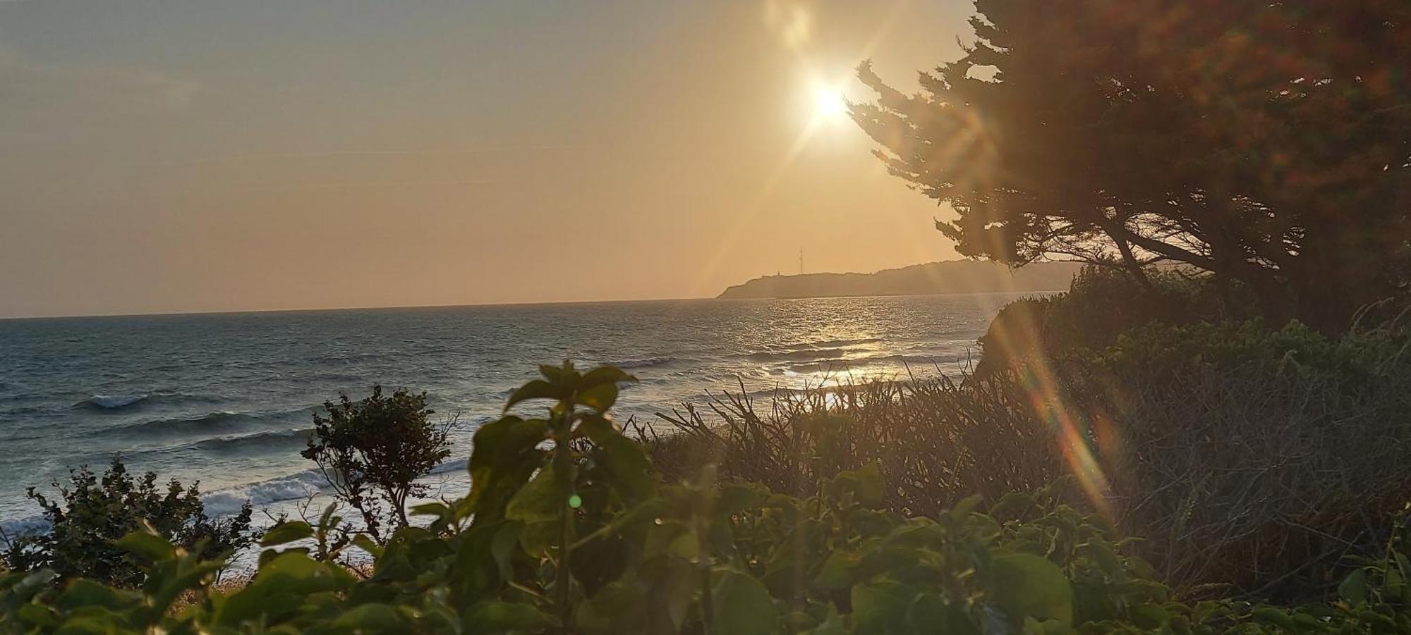 Les Sables D'Or - Joli T3 200M De La Plage Barneville-Carteret Bagian luar foto