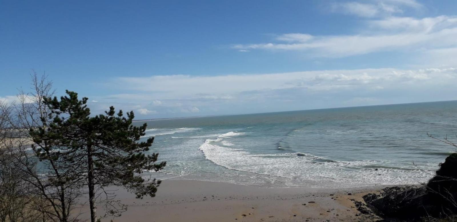 Les Sables D'Or - Joli T3 200M De La Plage Barneville-Carteret Bagian luar foto
